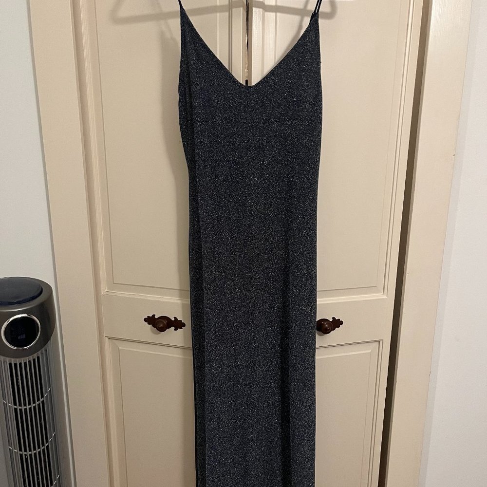Long sparkly stretchy Free People maxi dress